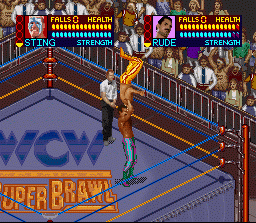 wcw.gif (28530 bytes)